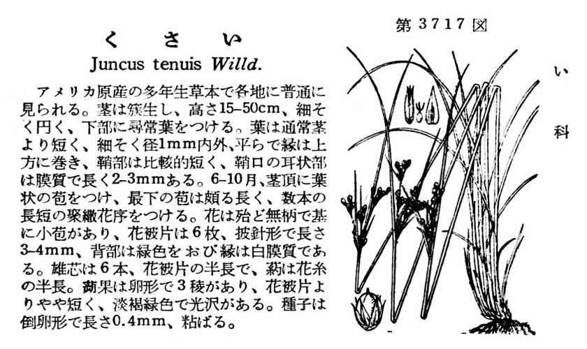 植物図鑑