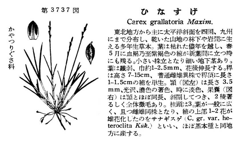 植物図鑑