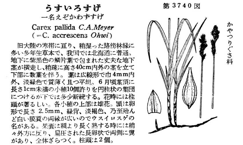 植物図鑑