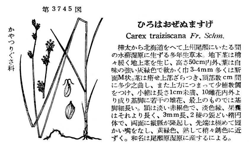 植物図鑑