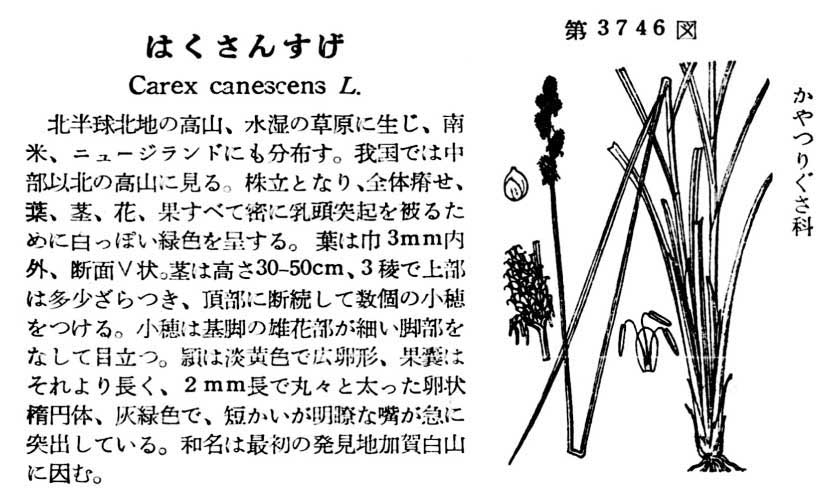 植物図鑑