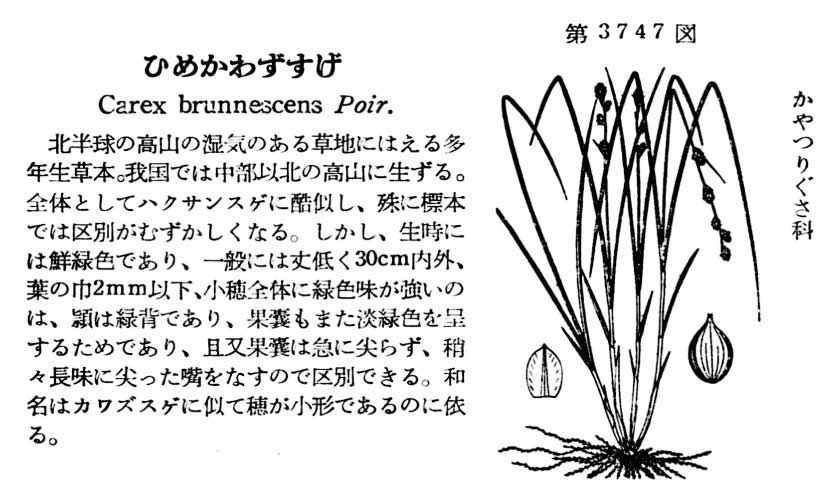 植物図鑑