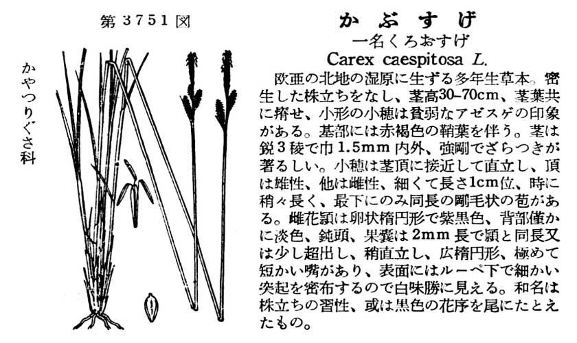 植物図鑑