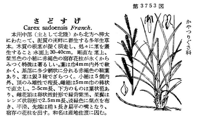 植物図鑑