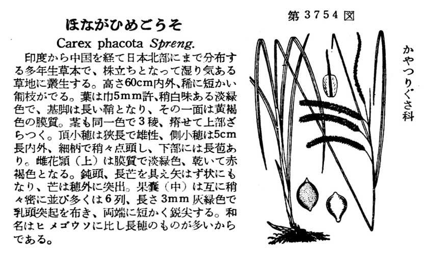 植物図鑑