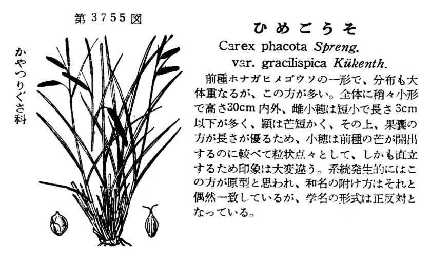 植物図鑑