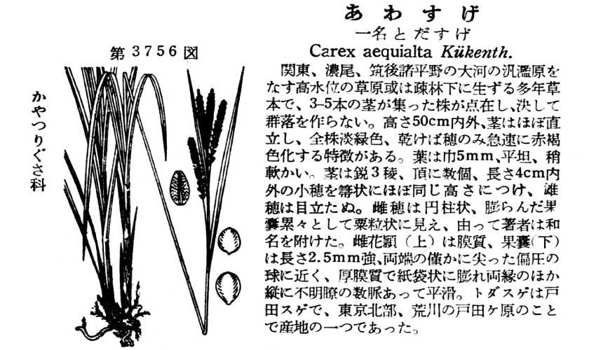 植物図鑑