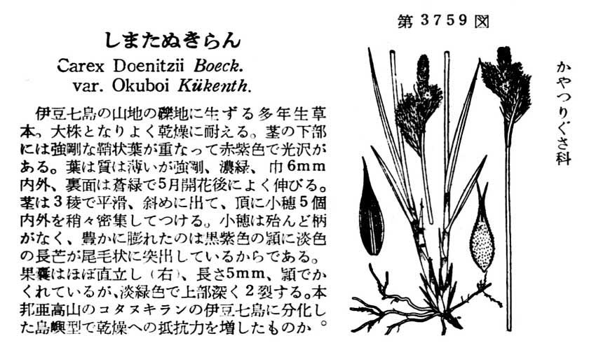 植物図鑑