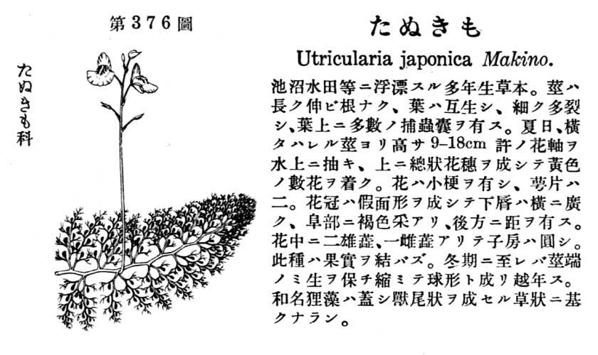 植物図鑑