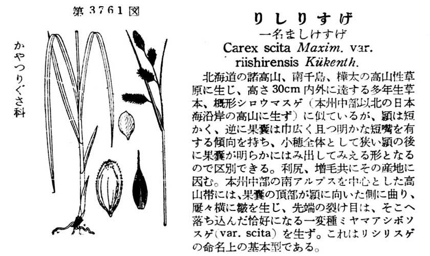 植物図鑑