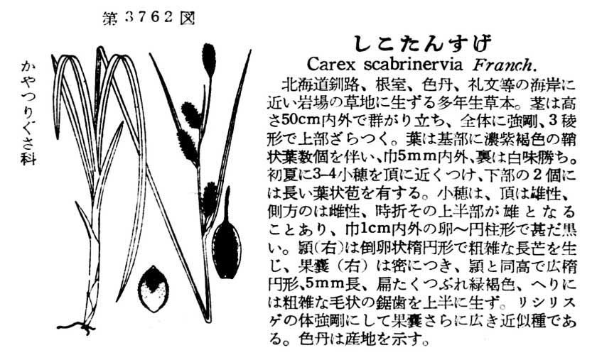 植物図鑑