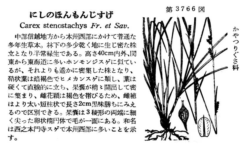 植物図鑑