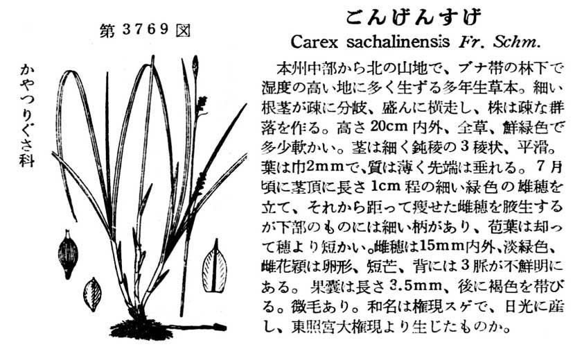 植物図鑑