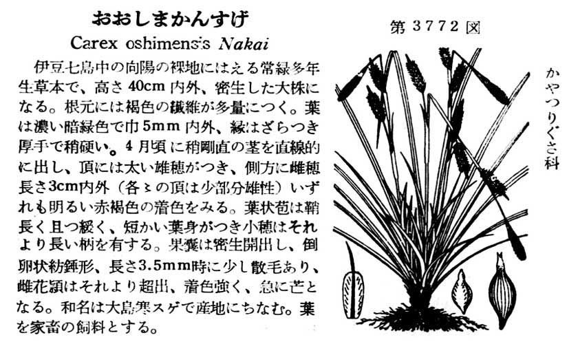 植物図鑑