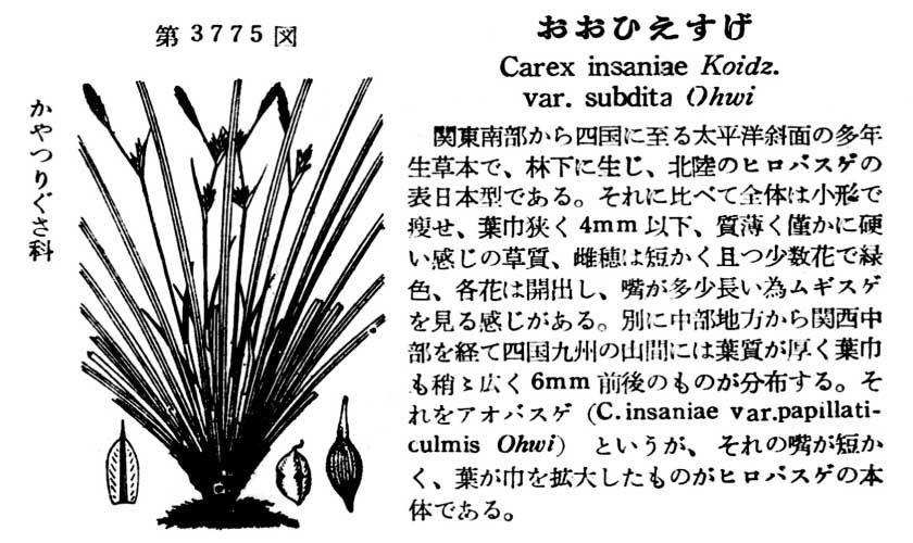 植物図鑑