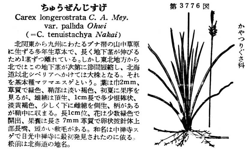 植物図鑑