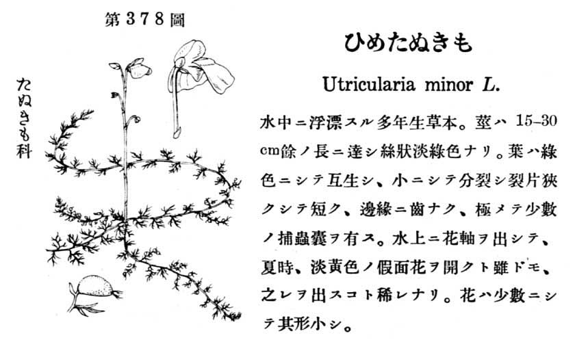 植物図鑑