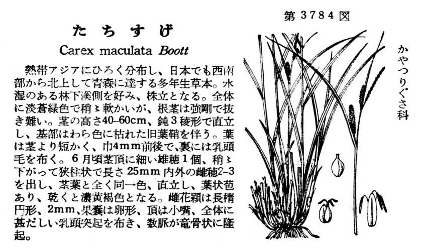 植物図鑑