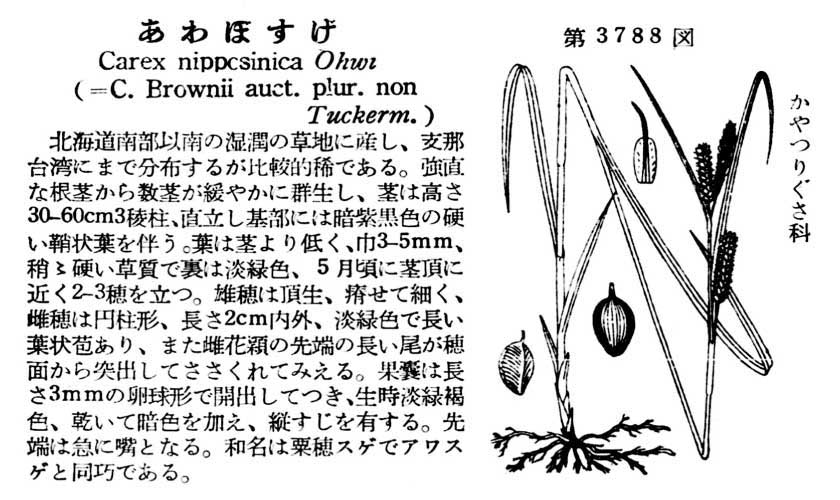 植物図鑑