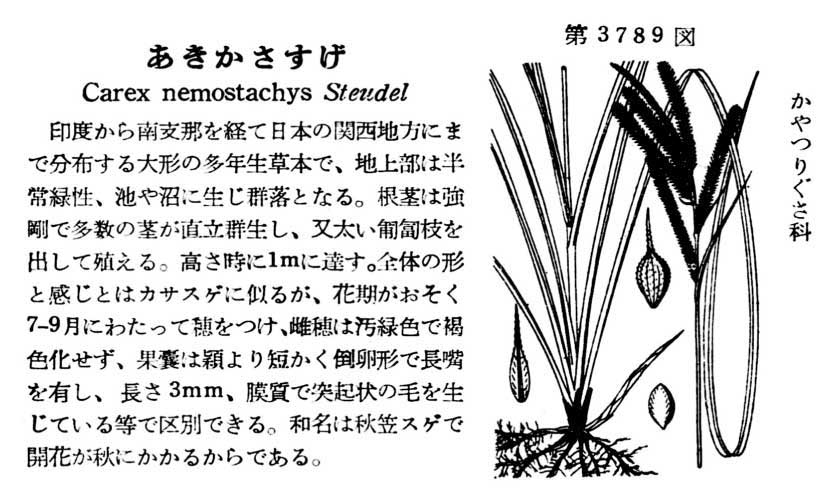 植物図鑑