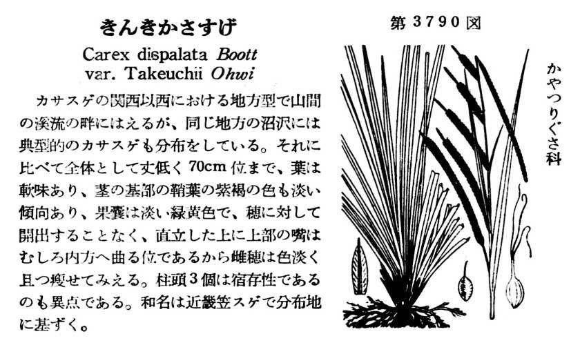 植物図鑑