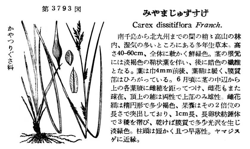 植物図鑑