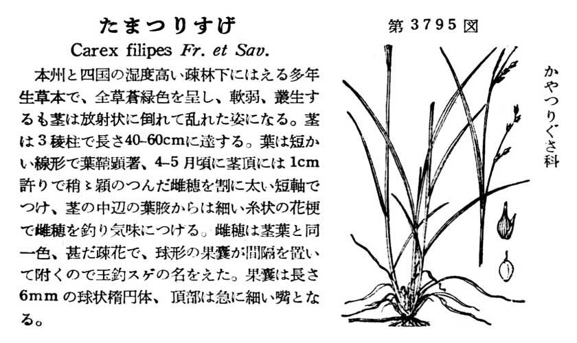 植物図鑑