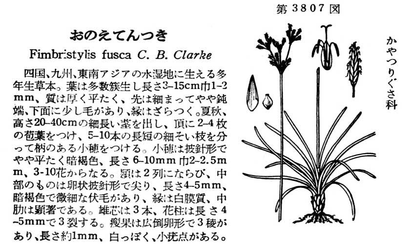 植物図鑑