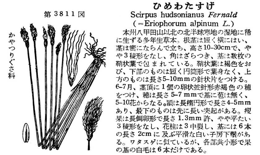 植物図鑑