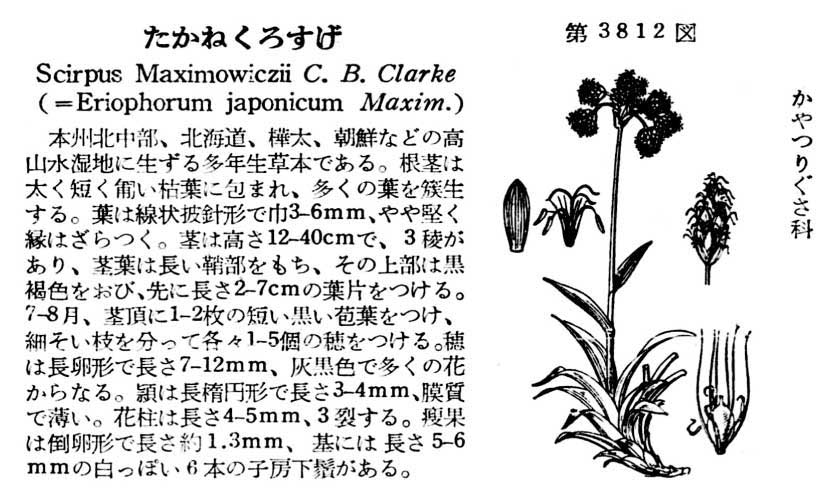 植物図鑑