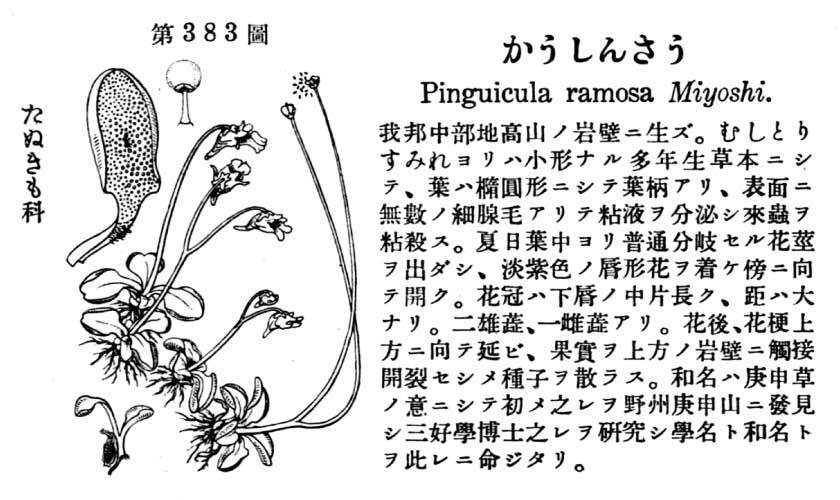 植物図鑑