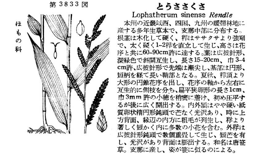 植物図鑑