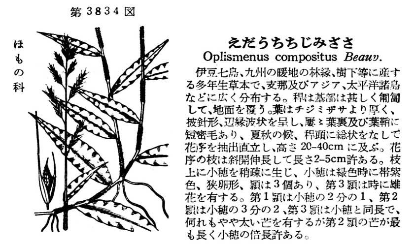 植物図鑑