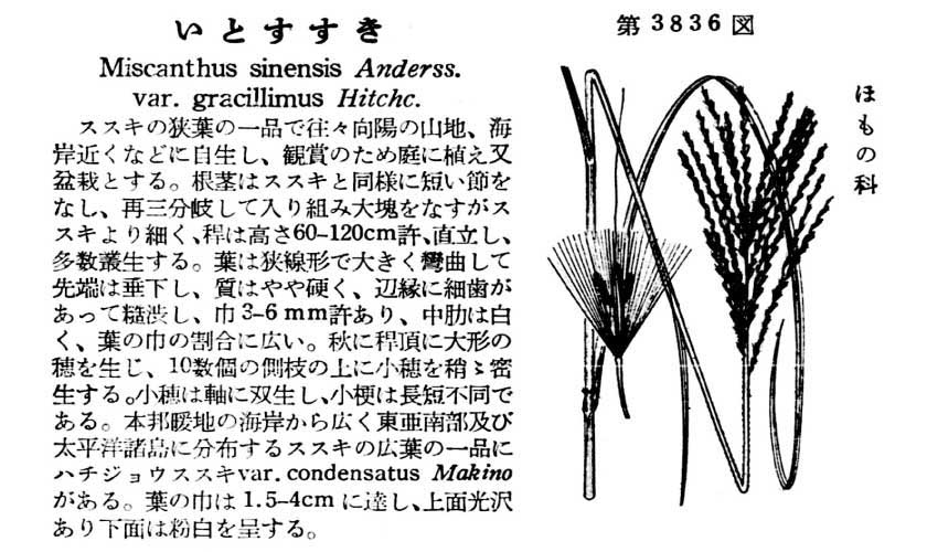 植物図鑑