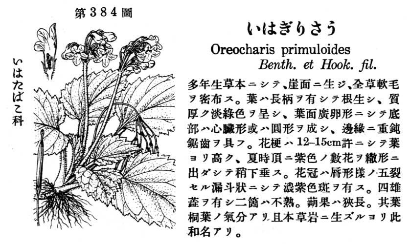 植物図鑑