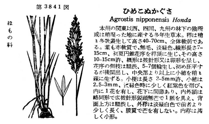 植物図鑑