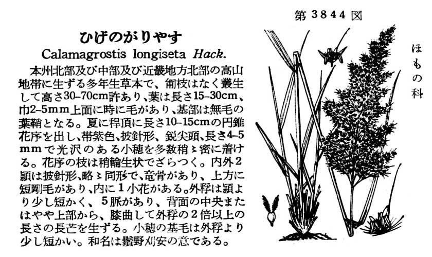 植物図鑑