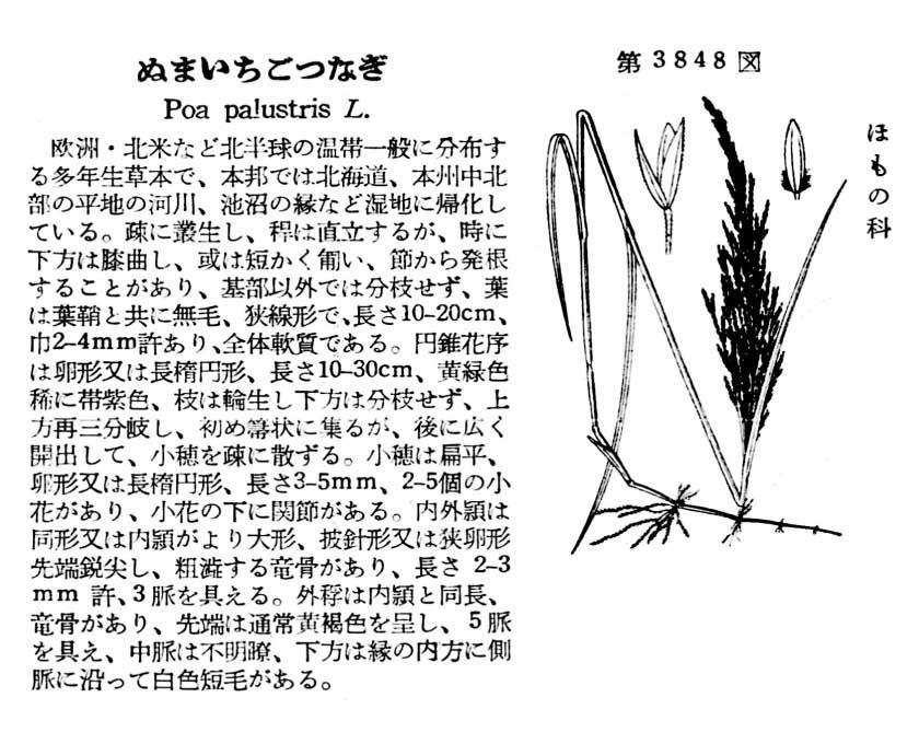 植物図鑑