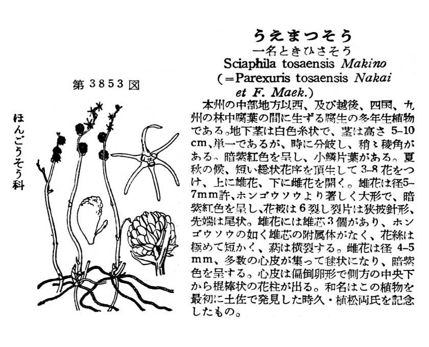 植物図鑑