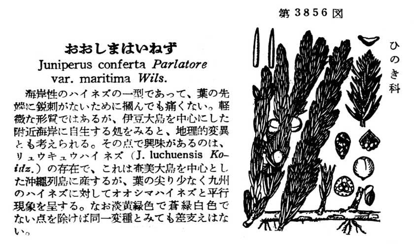 植物図鑑