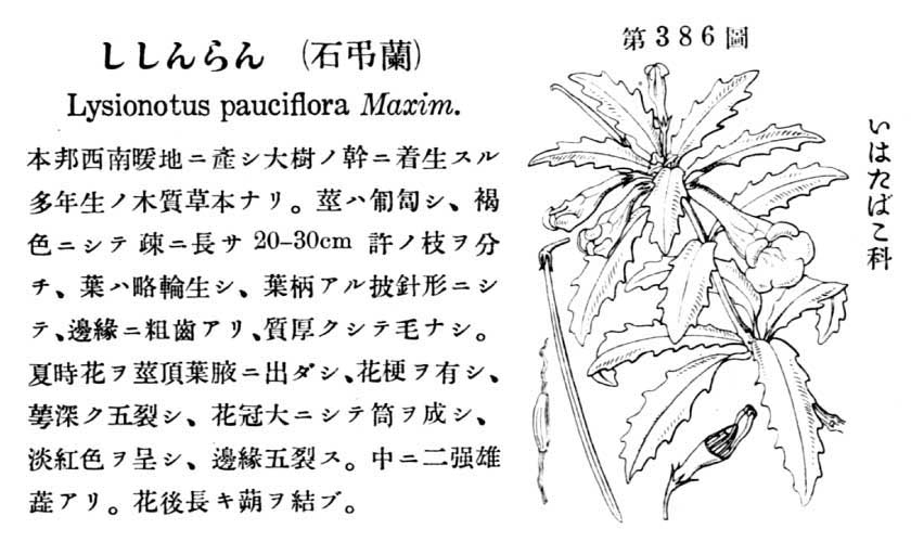 植物図鑑