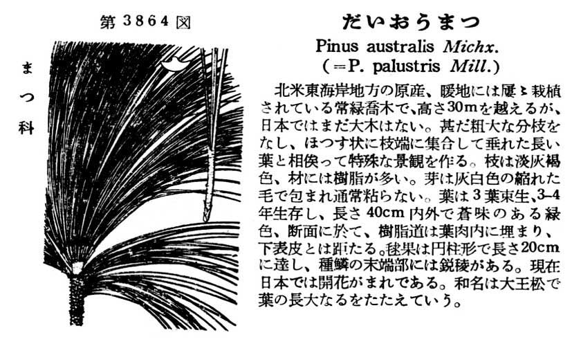 植物図鑑