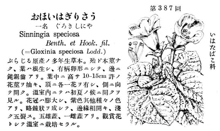 植物図鑑