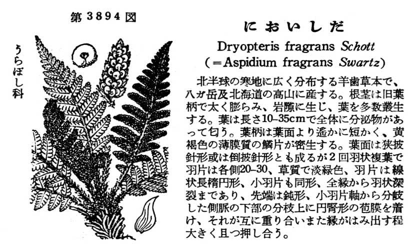 植物図鑑