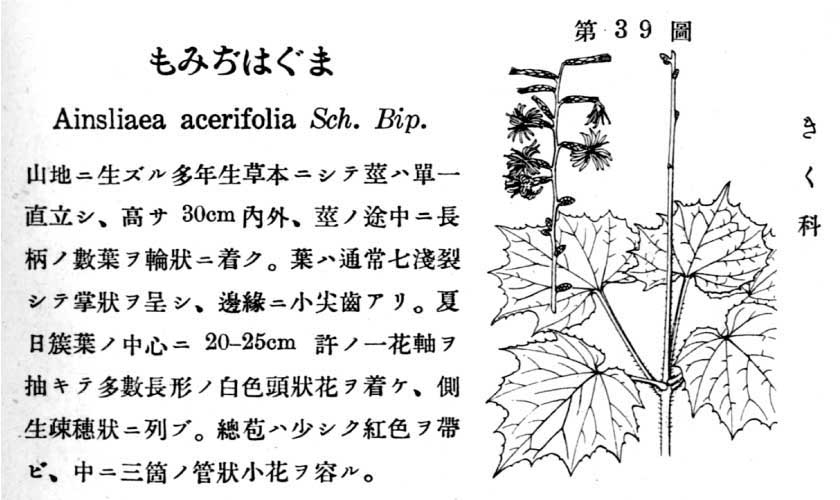 植物図鑑