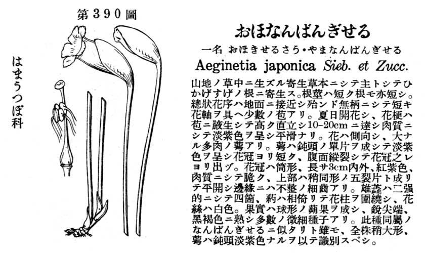 植物図鑑