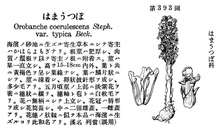 植物図鑑