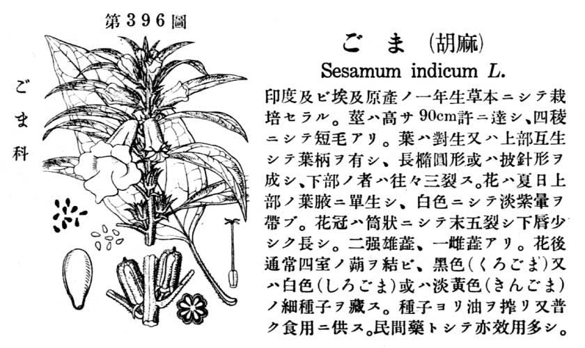 植物図鑑