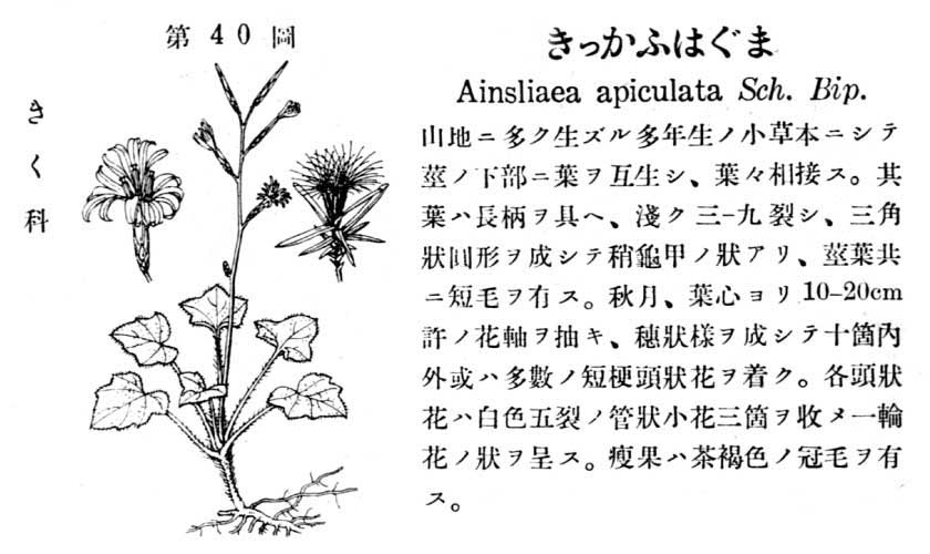 植物図鑑