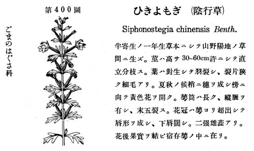 植物図鑑